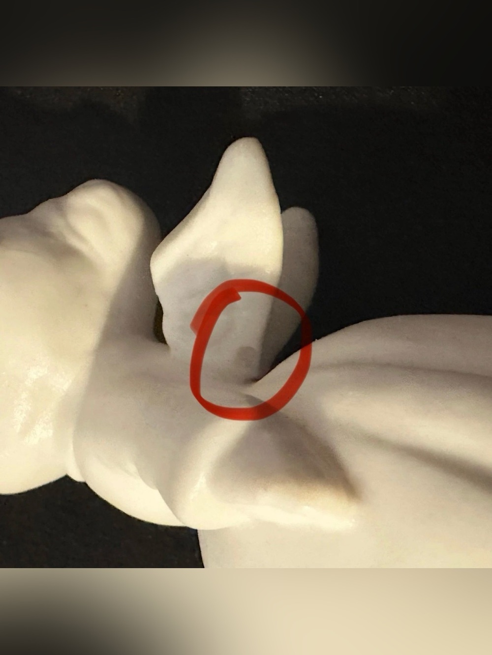 Vintage White Bisque Porcelain Kissing Angel Figurines Boy Girl Pair 3" Decor - Picture 8 of 8